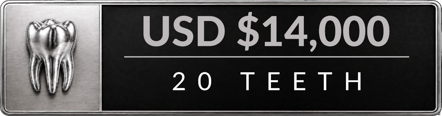 14k 20 Teeth Plaque